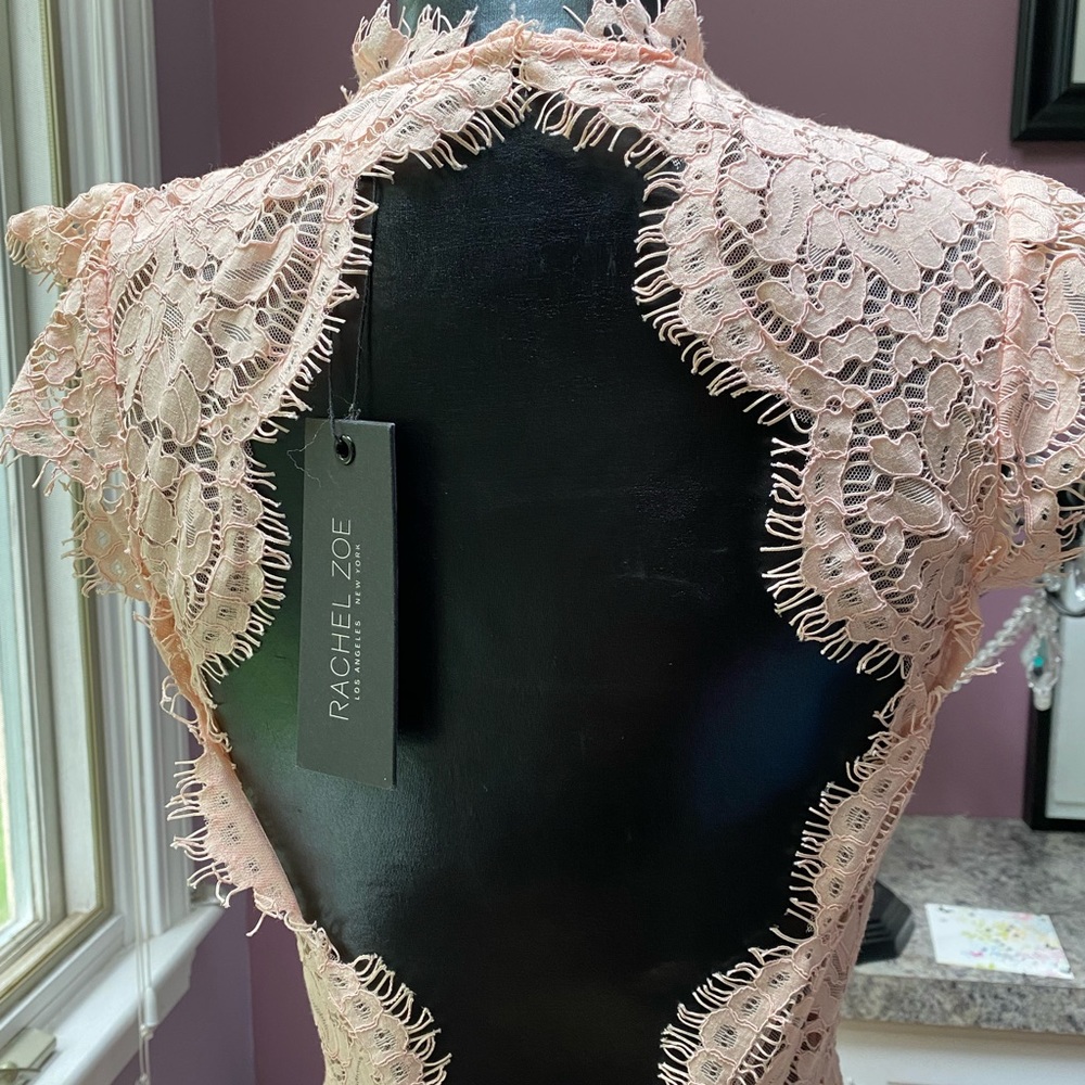 Rachel Zoe Estelle Open Back Lace Gown - Size 2 Color - Blush